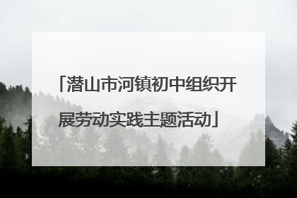潜山市河镇初中组织开展劳动实践主题活动