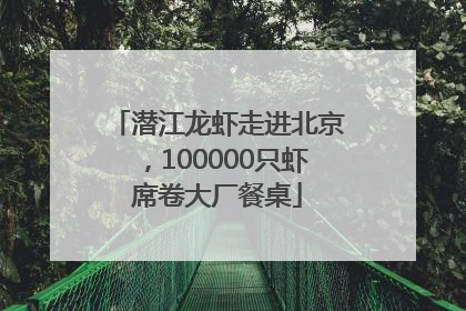 潜江龙虾走进北京，100000只虾席卷大厂餐桌