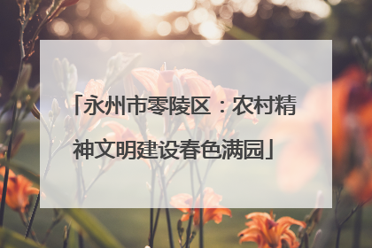 永州市零陵区：农村精神文明建设春色满园