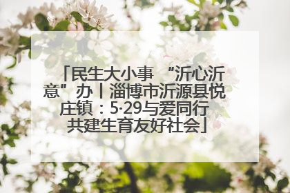 民生大小事 “沂心沂意”办丨淄博市沂源县悦庄镇：5·29与爱同行 共建生育友好社会