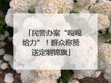 民警办案“嘎嘎给力”！群众称赞送定制锦旗
