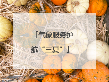 气象服务护航“三夏”