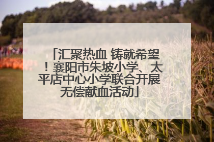汇聚热血 铸就希望！襄阳市朱坡小学、太平店中心小学联合开展无偿献血活动