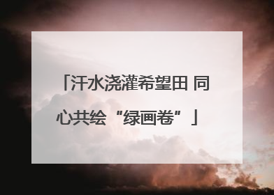 汗水浇灌希望田 同心共绘“绿画卷”
