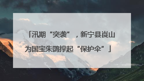 汛期“突袭”，新宁县崀山为国宝朱鹮撑起“保护伞”