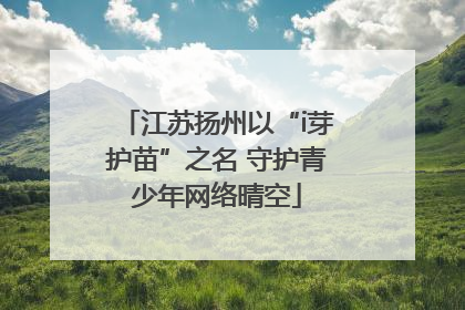 江苏扬州以“i芽护苗”之名 守护青少年网络晴空