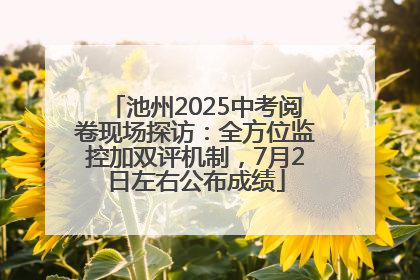 池州2025中考阅卷现场探访：全方位监控加双评机制，7月2日左右公布成绩
