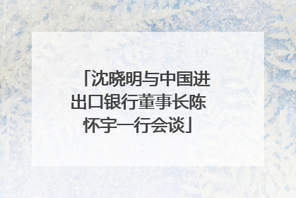 沈晓明与中国进出口银行董事长陈怀宇一行会谈