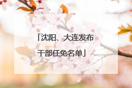 沈阳、大连发布干部任免名单