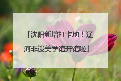 沈阳新增打卡地！辽河非遗美学馆开馆啦