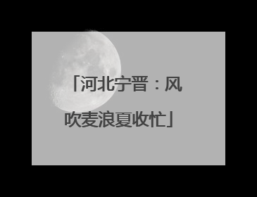 河北宁晋：风吹麦浪夏收忙