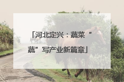 河北定兴：蔬菜“蔬”写产业新篇章