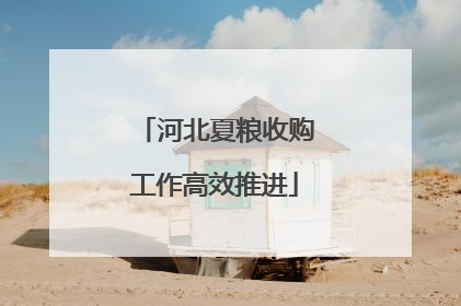 河北夏粮收购工作高效推进