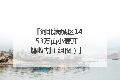 河北满城区14.53万亩小麦开镰收割（组图）
