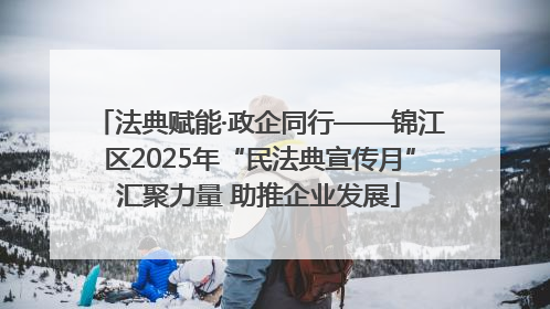 法典赋能·政企同行——锦江区2025年“民法典宣传月”汇聚力量 助推企业发展
