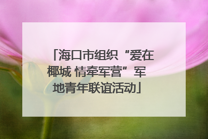 海口市组织“爱在椰城 情牵军营”军地青年联谊活动