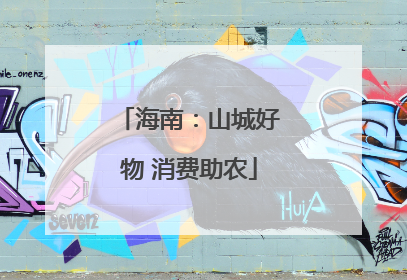 海南：山城好物 消费助农