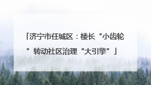 济宁市任城区：楼长“小齿轮”转动社区治理“大引擎”