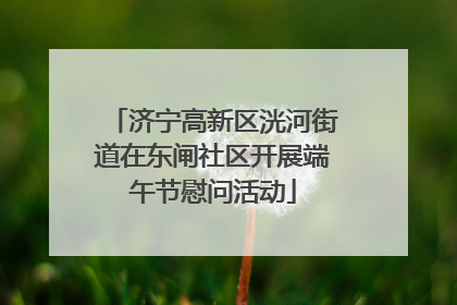 济宁高新区洸河街道在东闸社区开展端午节慰问活动
