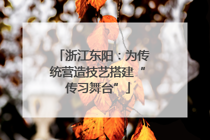 浙江东阳：为传统营造技艺搭建“传习舞台”