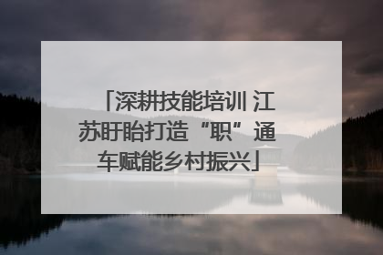 深耕技能培训 江苏盱眙打造“职”通车赋能乡村振兴