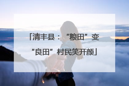 清丰县：“粮田”变“良田”村民笑开颜