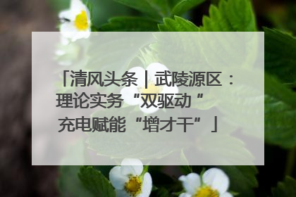 清风头条｜武陵源区：理论实务“双驱动 ” 充电赋能“增才干”