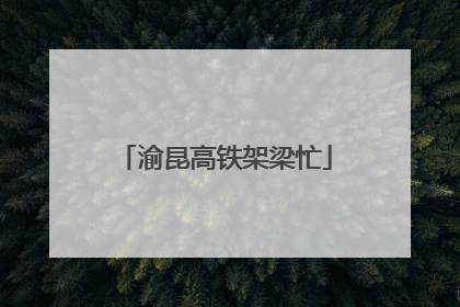 渝昆高铁架梁忙