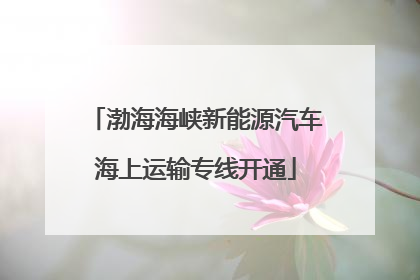 渤海海峡新能源汽车海上运输专线开通
