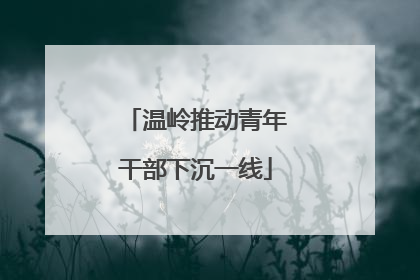 温岭推动青年干部下沉一线