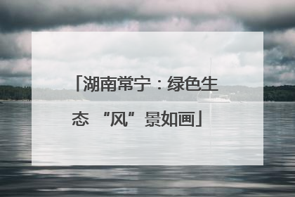 湖南常宁：绿色生态 “风”景如画