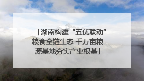湖南构建“五优联动”粮食全链生态 千万亩粮源基地夯实产业根基