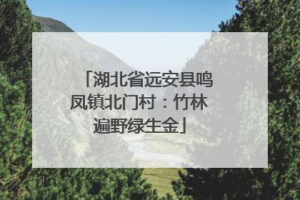 湖北省远安县鸣凤镇北门村：竹林遍野绿生金