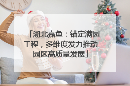 湖北嘉鱼：锚定满园工程，多维度发力推动园区高质量发展