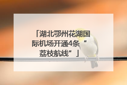 湖北鄂州花湖国际机场开通4条“荔枝航线”