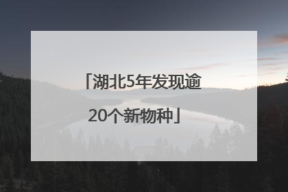 湖北5年发现逾20个新物种
