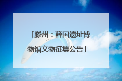 滕州：薛国遗址博物馆文物征集公告