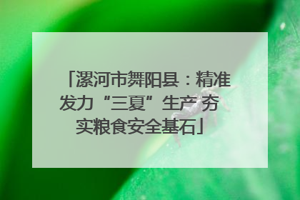 漯河市舞阳县：精准发力“三夏”生产 夯实粮食安全基石