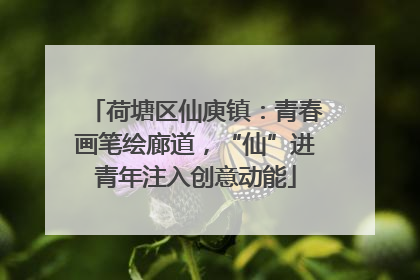 荷塘区仙庾镇：青春画笔绘廊道，“仙”进青年注入创意动能