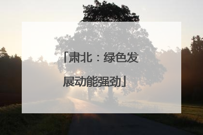 肃北：绿色发展动能强劲