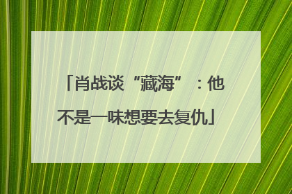 肖战谈“藏海”：他不是一味想要去复仇