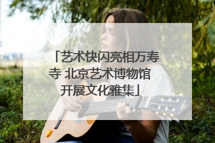 艺术快闪亮相万寿寺 北京艺术博物馆开展文化雅集