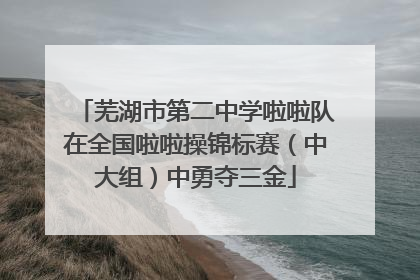 芜湖市第二中学啦啦队在全国啦啦操锦标赛（中大组）中勇夺三金