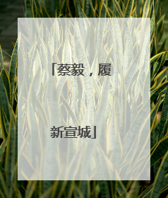 蔡毅，履新宣城
