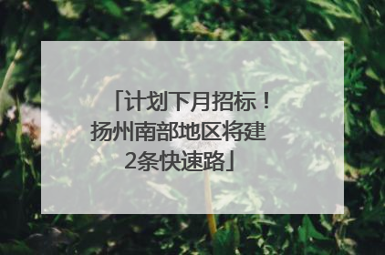 计划下月招标！扬州南部地区将建2条快速路