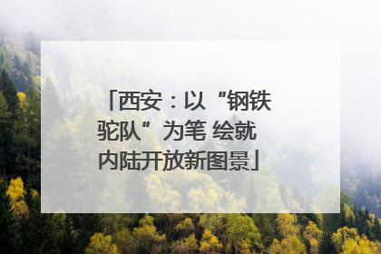 西安：以“钢铁驼队”为笔 绘就内陆开放新图景