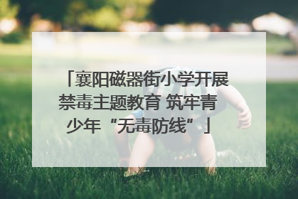 襄阳磁器街小学开展禁毒主题教育 筑牢青少年“无毒防线”