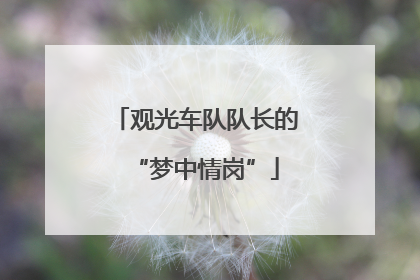 观光车队队长的“梦中情岗”