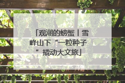 观潮的螃蟹丨雪峰山下“一粒种子”撬动大文旅
