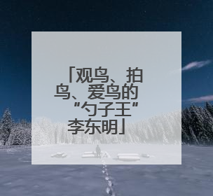 观鸟、拍鸟、爱鸟的“勺子王”李东明